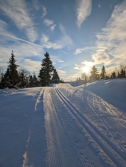 Excellent ski tracks