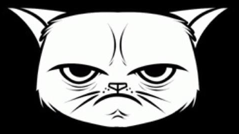 A drawn white angry-looking cat face on black background.